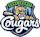 Kane County Cougars