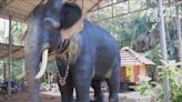 Temple elephant in India replaced by a mechanical version for rituals (VIDEO)