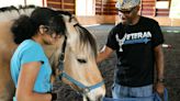 Horses at High & Mighty help vets heal after serving