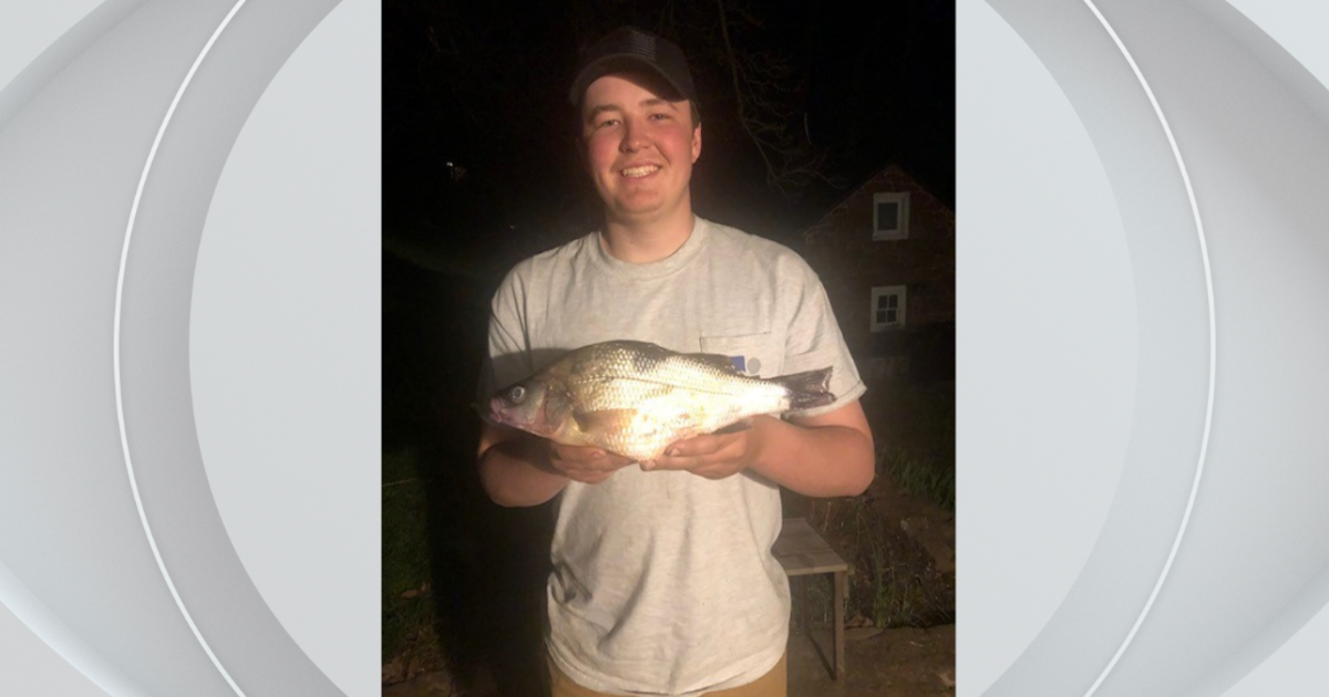 Pennsylvania teenager catches record-breaking perch