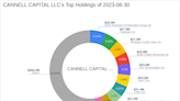 CANNELL CAPITAL LLC Acquires Additional Shares in Sportsman's Warehouse Holdings Inc