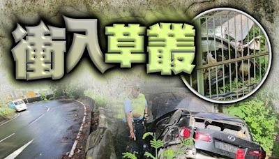 青沙公路私家車衝路障 逃走8公里失事剷入草叢