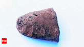 4,000-year-old weapon found near Uthangarai in Tamil Nadu | Chennai News - Times of India