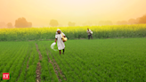 Farm loan waivers to negatively impact banks' asset quality: Macquarie