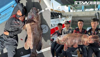 澎湖捕獲超巨石斑魚直逼成人身高 42kg意外之財船長嗨翻