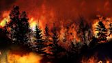 As Wildfire Season Nears, Has Your Company Factored In Climate Risk?