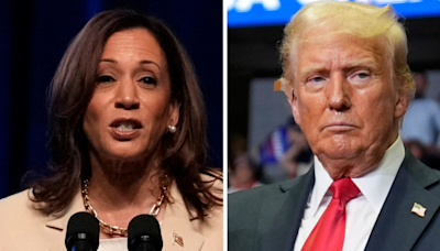 Harris tied with Trump in Pennsylvania and Michigan, down 1 point in Wisconsin: Fox News