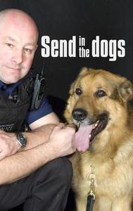 Send in the Dogs