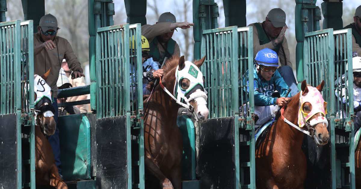 Video: What's The Difference Between A Thoroughbred And Quarter Horse Race?