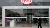 BYD to fix software glitch in 16,666 Seagull EVs