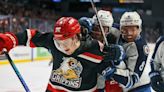 Red Wings prospects to grow from playoff experience with Griffins