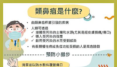 台南連爆2例類鼻疽病例 桃園防登革熱 - 生活新聞