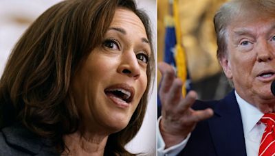 Trump's Comments About Kamala Harris' Race Are All Too Familiar For Biracial People