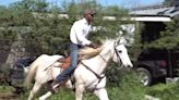 Black cowboy hopes to inspire the next generation, using his own farm as a teaching tool