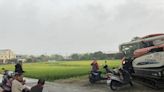 間歇大雨 彰化稻米產區傳倒伏
