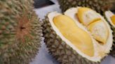 Discover lesser-known durian variants across Malaysia