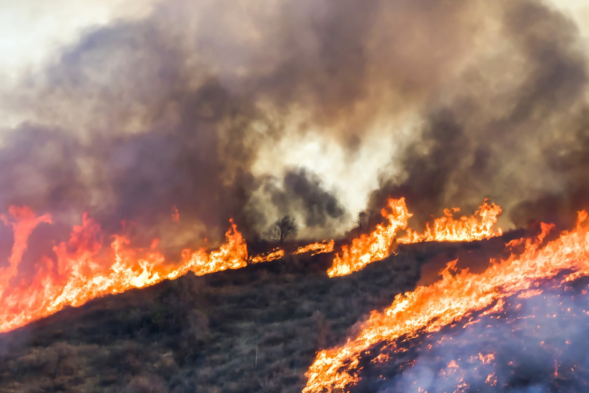 Officials brace for impact as recent surge in fire activity raises concerns about upcoming wildfire season: 'August to October could be quite active'