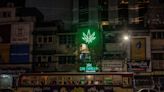 Thailand to legislate marijuana for medical use, deputy PM says