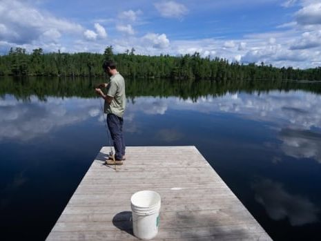 Invasive fish species dumped in Manitoba water bodies disrupting 'very delicate' ecosystems: fisheries manager | CBC News