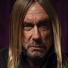 Iggy Pop