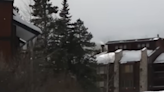 Moose chases snowboarders down slope after tourists crowded it, Colorado video shows