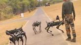 MULE Robot Dogs