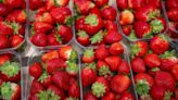 吃草莓健康加分 含1關鍵營養素「防失智、抗憂鬱」
