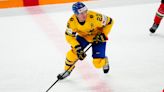 Swedish Detroit Red Wings feast on Hungary at World Championship