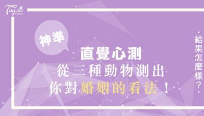 神準社群心測！從三種想訓化的動物看穿你的「婚姻觀」是啥款？！選這動物的是妥妥實際派！