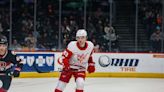 When these six more Red Wings prospects will be NHL-ready