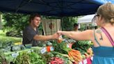 Southern Tier Farmers Markets Return just in Time for the Summer Sunshine