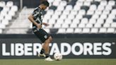 Botafogo afasta dois jogadores por indisciplina antes de decisão na Libertadores | Botafogo | O Dia