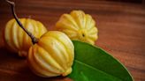 Everything You Should Know About Garcinia Cambogia