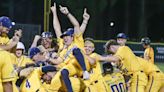 Banana Ball is coming to town: Brockton Rox to host Savannah Bananas next summer