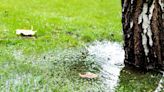 Homeowner shares step-by-step guide to prevent flooding during rainstorms: ‘A beautiful way to prevent runoff’
