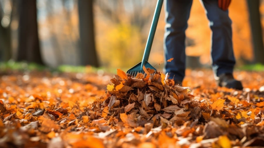 Fall weather outlook: What to expect in Columbus and central Ohio