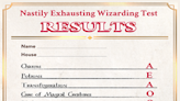 Nastily Exhausting Wizarding Test