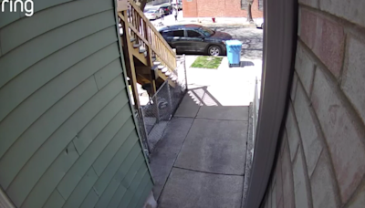 Video shows Chicago Police officer shooting, killing man's dog; COPA has questions