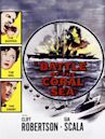 Battle of the Coral Sea (film)