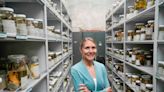 UW curator handles tours, teaching, events, exhibitions. But she's happiest working with her bone collections.