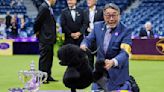 Miniature poodle named Sage wins Westminster Kennel Club dog show