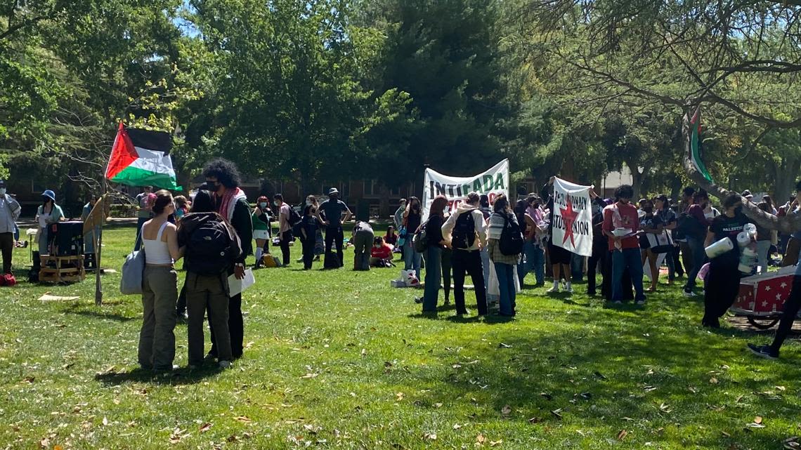 UC Davis students capitalize on May Day for Pro-Palestine protest