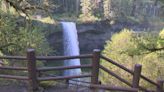 Silver Falls State Park hosting annual Mother's Day Birding and Wildflower Festival