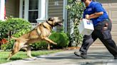 El servicio postal de EEUU reveló los estados con el mayor número de ataques de perros a carteros