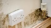 Millions living with household faults ‘because they lack time to fix them’