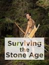 Surviving the Stone Age