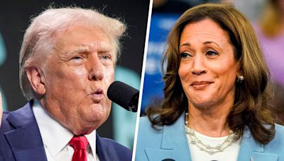 Will Trump campaign calling Harris-Walz ticket 'dangerously liberal' land with Americans?