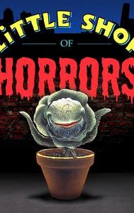 Little Shop of Horrors (1986 film)