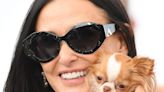 Demi Moore brings dog Pilaf to 'The Substance' photocall