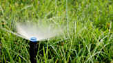 Expert offers tips for watering your yard during drought